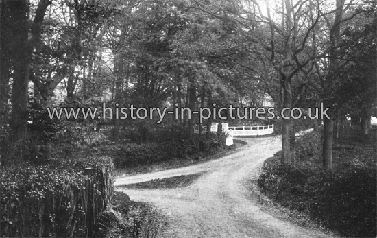 A country Lane, Danbury, Essex. c.1920